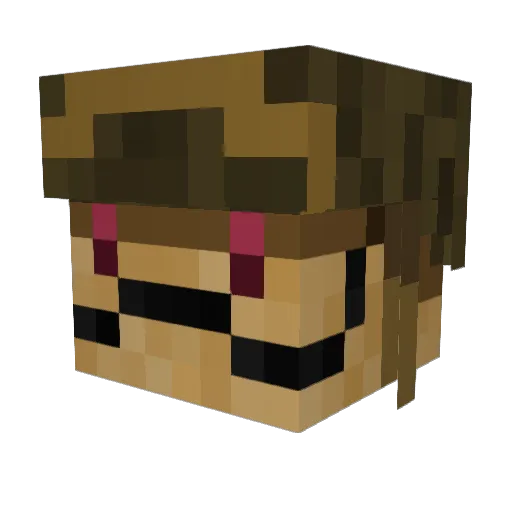 Sekont Minecraft avatar head, 3D render