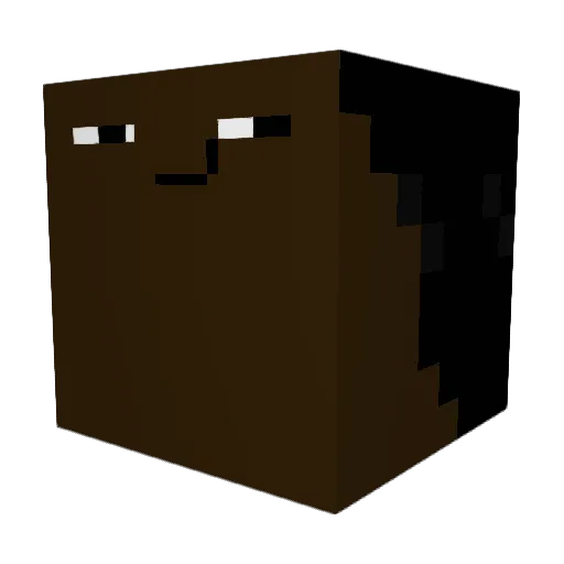 Sel8207 Minecraft avatar head, 3D render