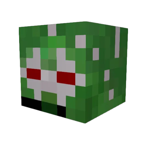 SelRains Minecraft avatar head, 3D render