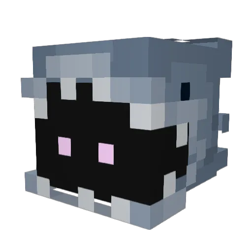 Selachiim0rpha Minecraft avatar head, 3D render
