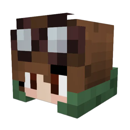 Selacruel Minecraft avatar head, 3D render