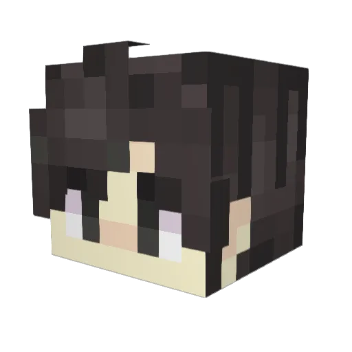 SelamiTargaryen Minecraft avatar head, 3D render
