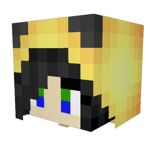 Selaroc Minecraft avatar head, 3D render