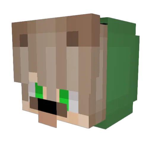 SelcuKBabaN_ Minecraft avatar head, 3D render