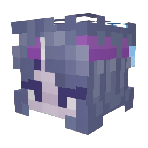 SeldomSorrowful Minecraft avatar head, 3D render