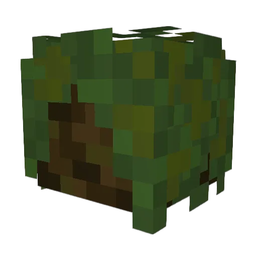 Seldslyn Minecraft avatar head, 3D render