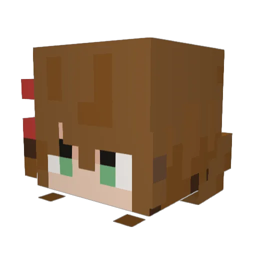 SelectWarden Minecraft avatar head, 3D render