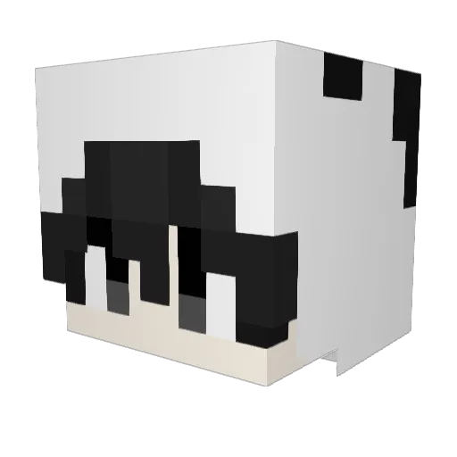 Selectors Minecraft avatar head, 3D render