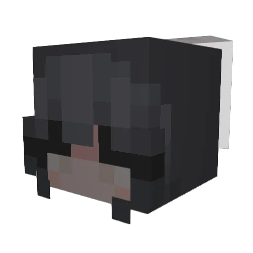 Seleena12 Minecraft avatar head, 3D render