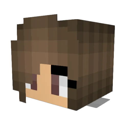 Selen0501 Minecraft avatar head, 3D render