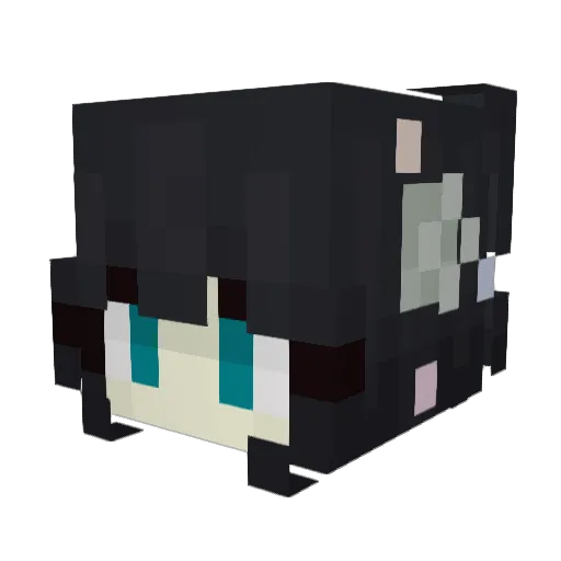 SelenaJoestar Minecraft avatar head, 3D render