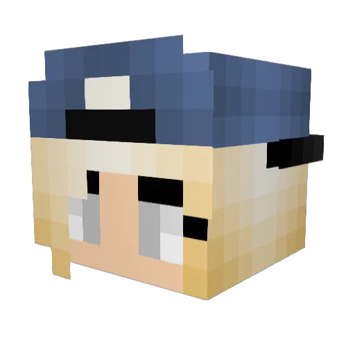 Selenaaaa49 Minecraft avatar head, 3D render