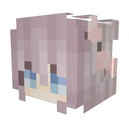 Selenixxx Minecraft avatar head, 3D render