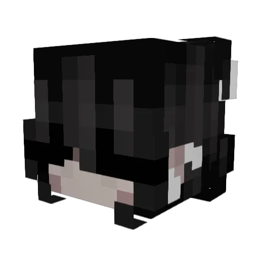 Selenou76360 Minecraft avatar head, 3D render