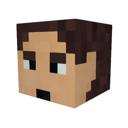Selentally Minecraft avatar head, 3D render