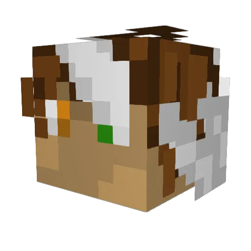Seler_00E2 Minecraft avatar head, 3D render