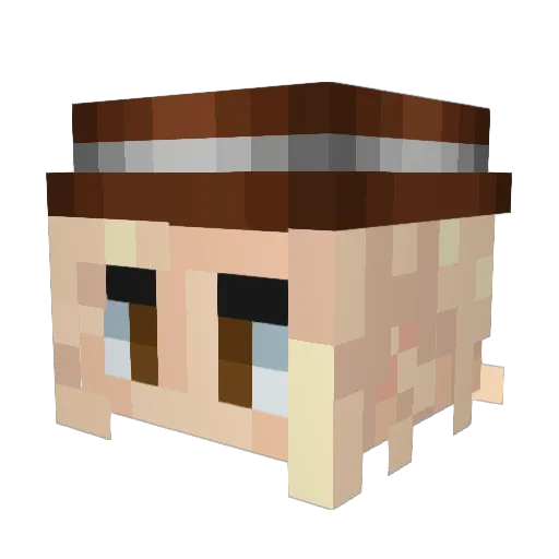 Selerty Minecraft avatar head, 3D render