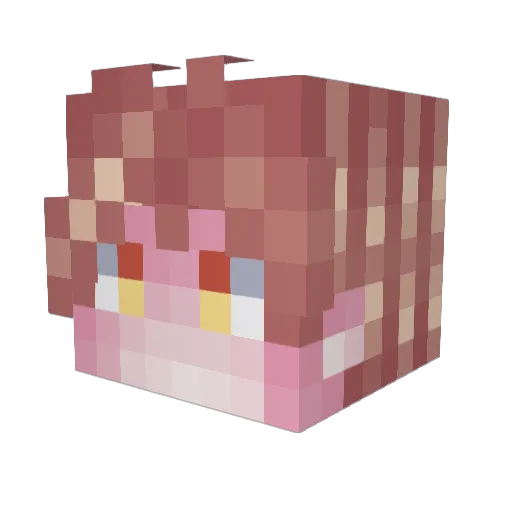 Selevas_Aran Minecraft avatar head, 3D render