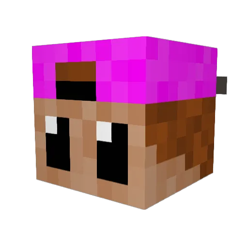 Selex_11 Minecraft avatar head, 3D render
