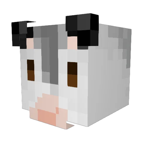 SelfConchas Minecraft avatar head, 3D render