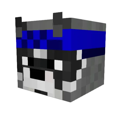 Selfdestruct05 Minecraft avatar head, 3D render