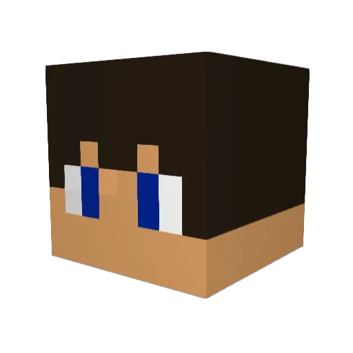 Selfless17 Minecraft avatar head, 3D render