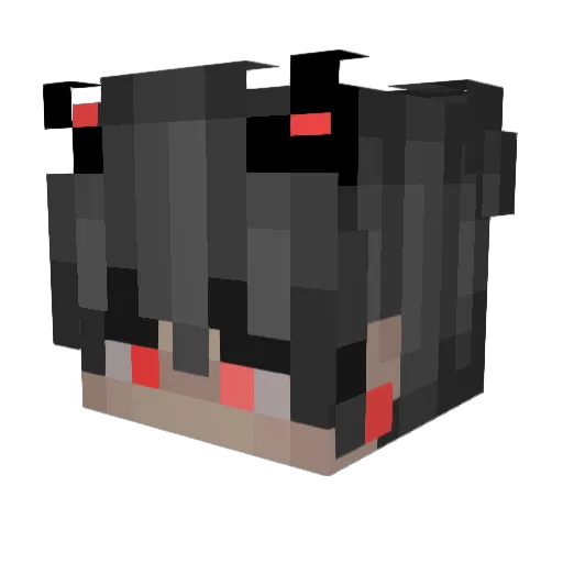 SelgeekTAC Minecraft avatar head, 3D render