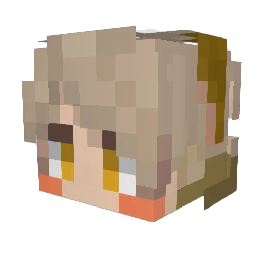 Seli9053 Minecraft avatar head, 3D render