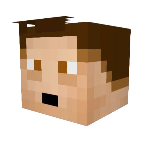 Selick1 Minecraft avatar head, 3D render
