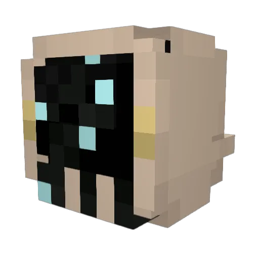 Selidae Minecraft avatar head, 3D render