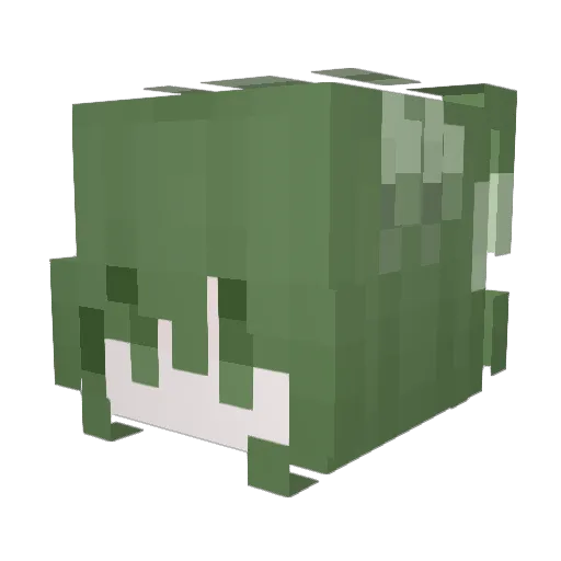 Selikke Minecraft avatar head, 3D render