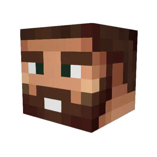 Selim31 Minecraft avatar head, 3D render
