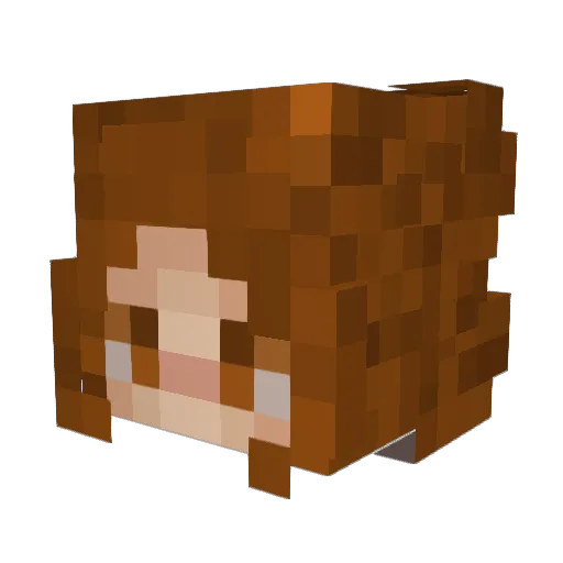Selina200022 Minecraft avatar head, 3D render