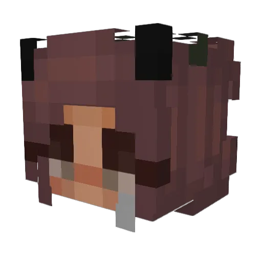Selina215 Minecraft avatar head, 3D render