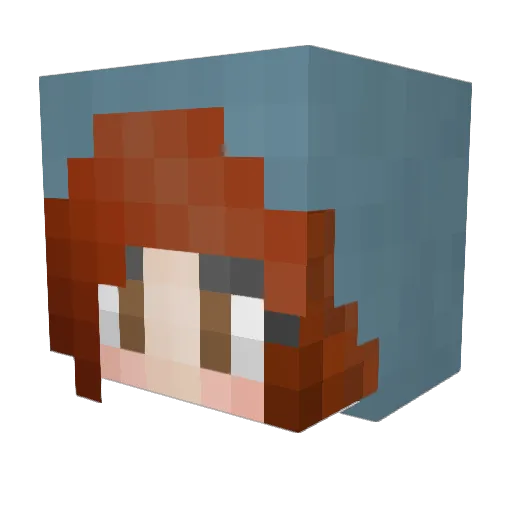 Selina542 Minecraft avatar head, 3D render