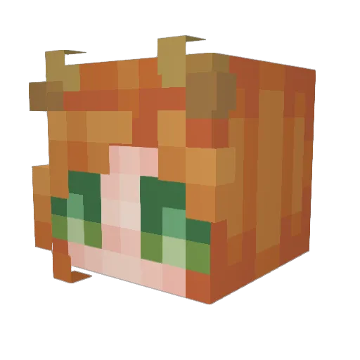 SelinaKyle2007 Minecraft avatar head, 3D render