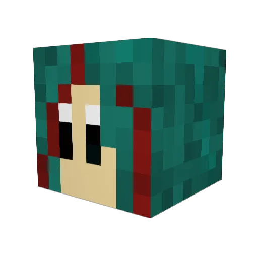 Selina_212 Minecraft avatar head, 3D render