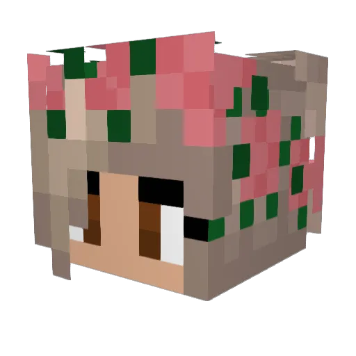 Selinafrm Minecraft avatar head, 3D render