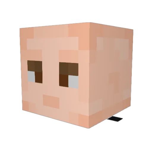 Selis1863 Minecraft avatar head, 3D render