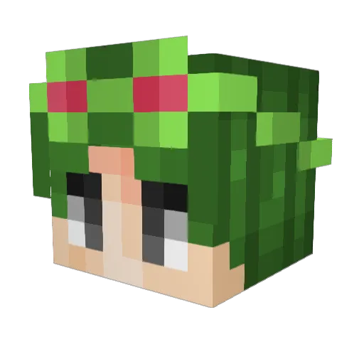 Selius_ Minecraft avatar head, 3D render