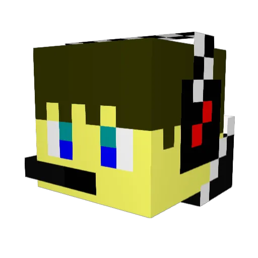Selk542 Minecraft avatar head, 3D render