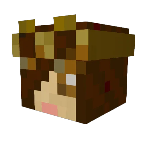 Selladore02 Minecraft avatar head, 3D render