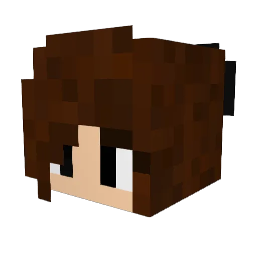 SelleRetsok Minecraft avatar head, 3D render