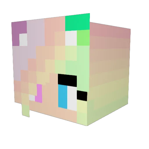 Selleri14 Minecraft avatar head, 3D render