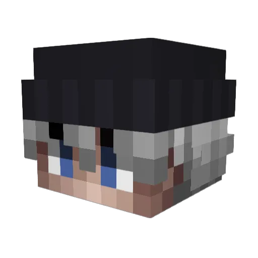 Sellin1 Minecraft avatar head, 3D render