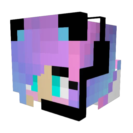 Sellman Minecraft avatar head, 3D render