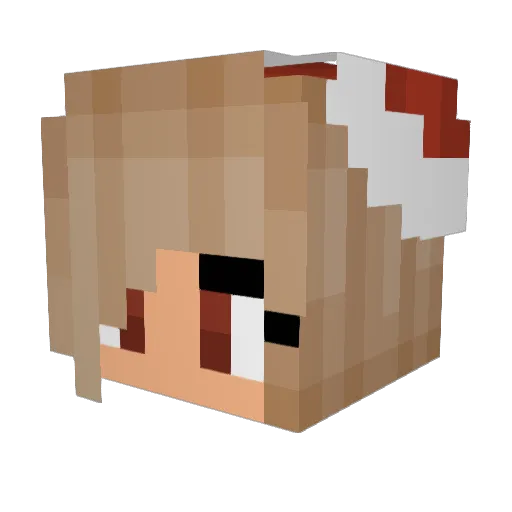 Selma2009 Minecraft avatar head, 3D render
