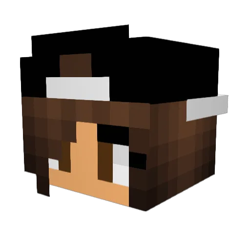 Selma_Gamer Minecraft avatar head, 3D render