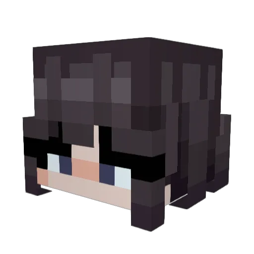 Selmiki Minecraft avatar head, 3D render
