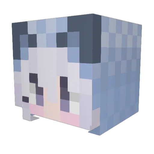 Selnd Minecraft avatar head, 3D render
